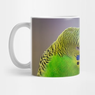 Budgie pair in love Portrait Wall Art Photograph Mug